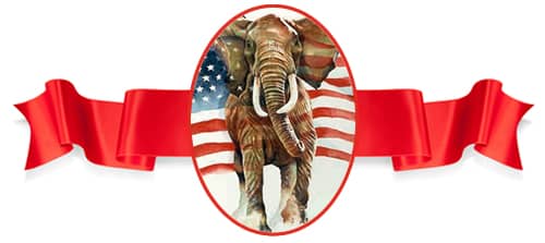 elephant with red ribbon